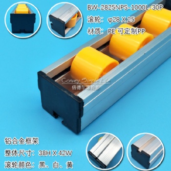 BW-2825NPS-1000L Aluminum