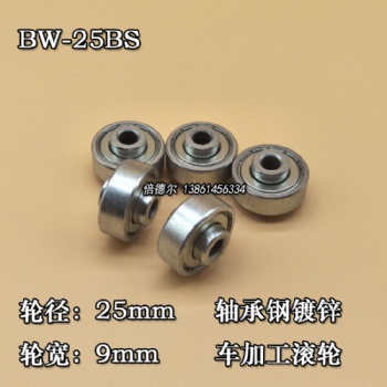 BW-25BS-6d