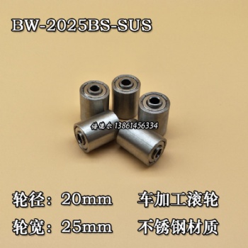 BW-2025SUS-6d