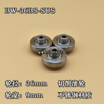 BW-36SUS-6d