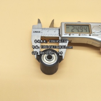 BW-2525PU-6d
